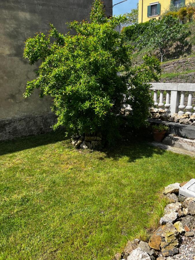 Casale Storico Enzo Villa Castelnuovo del Garda Bagian luar foto